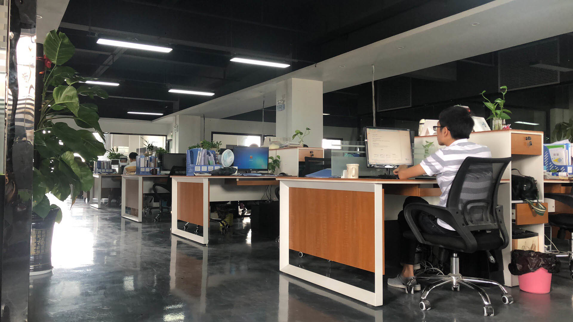 الصين Display Labs LED Co.,Ltd ملف الشركة